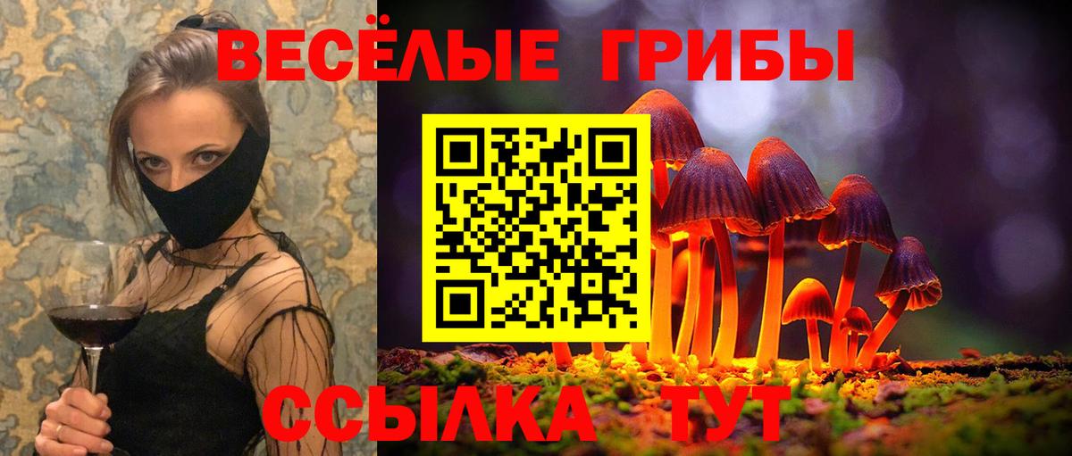 Псилоцибиновые грибы MAGIC MUSHROOMS Мурино