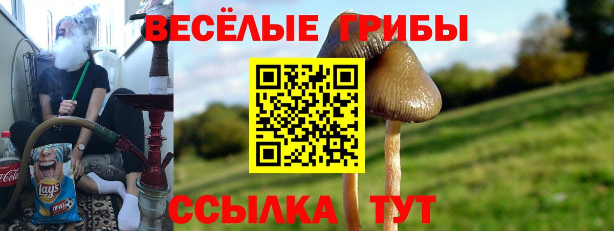 Меф   Codein  A PVP СОЛЬ кристаллы  Вход с VPN  ГАШ  Конопля  Мурино  Кокаин 
